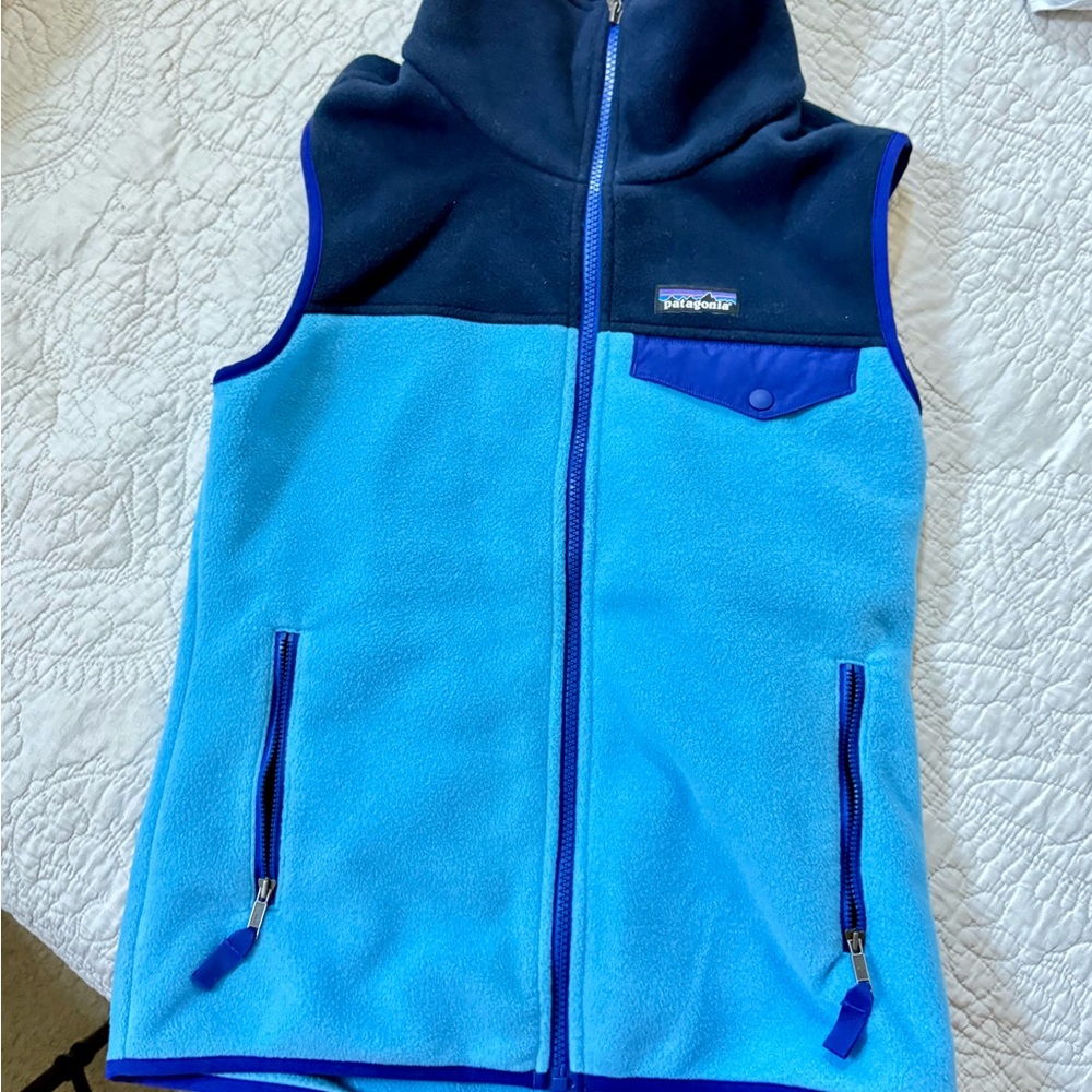 Patagonia Two-Tone Blue Fleece Vest